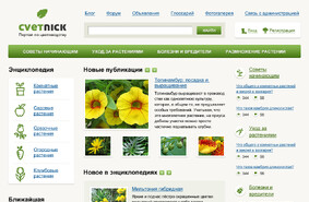 Цветник
